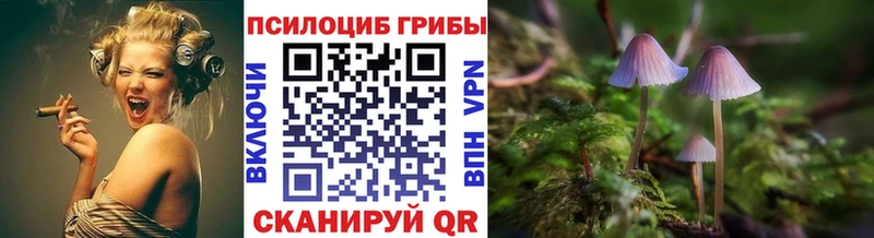 MEGA рабочий сайт  Безенчук  Галлюциногенные грибы прущие грибы 